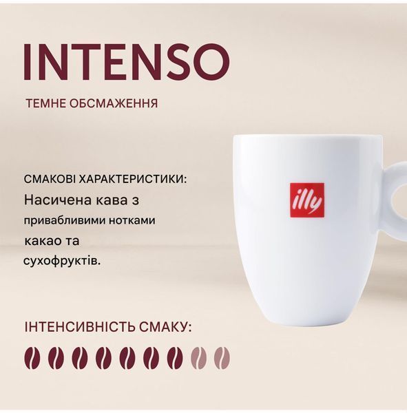 Кава в зернах Illy Nicaragua Arabica Selection 250 г ILLY-NIC-GR фото