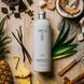 Лікер Tatratea COCONUT 22% 0.7 л TT-COCO-22- фото 3