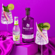 Джин Whitley Neill Rhubarb & Ginger 0.7 л 41.3% WN-RG-070-4 фото 3